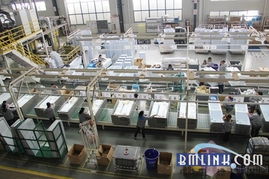 金友华 以匠心铸就品质，合肥三洋的冰箱与展会服务之路